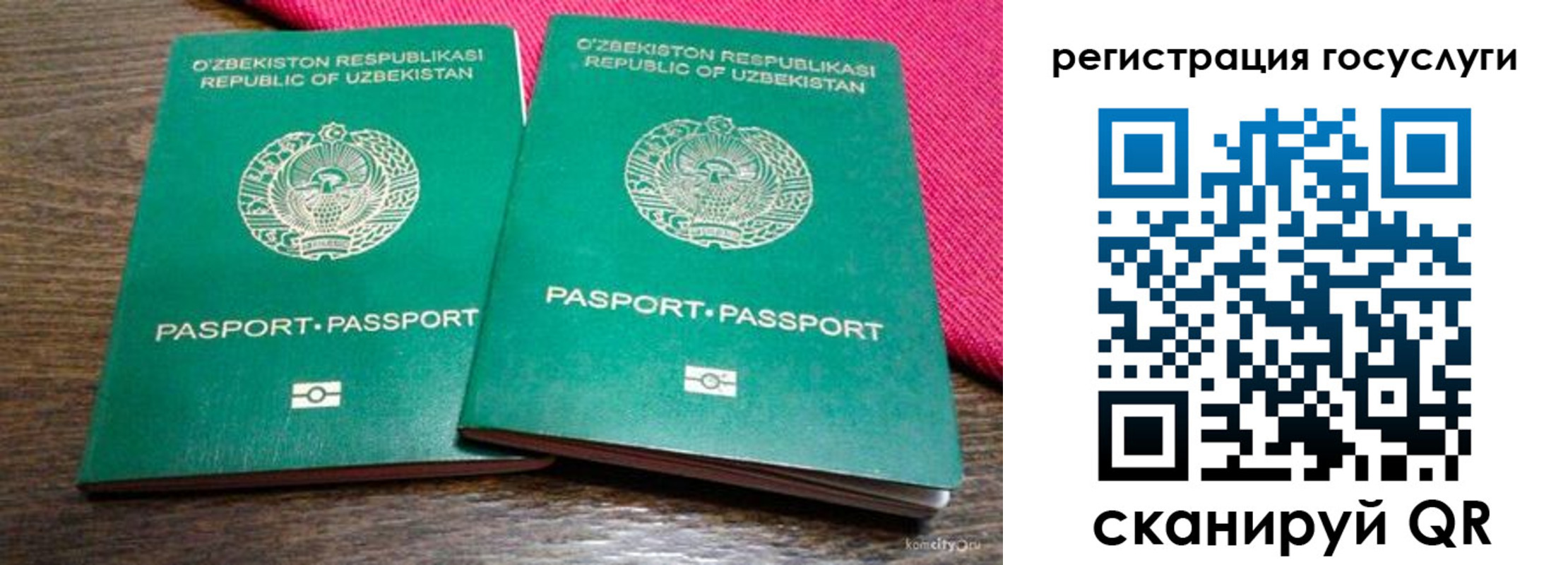 временная регистрация поиск в Мурманской области